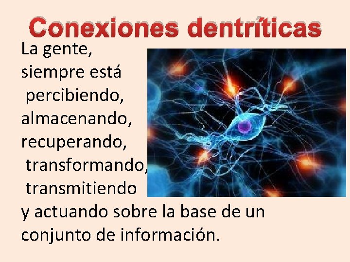 Conexiones dentríticas La gente, siempre está percibiendo, almacenando, recuperando, transformando, transmitiendo y actuando sobre Conexiones dentríticas La gente, siempre está percibiendo, almacenando, recuperando, transformando, transmitiendo y actuando sobre