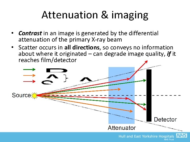 Attenuation & imaging • Contrast in an image is generated by the differential attenuation