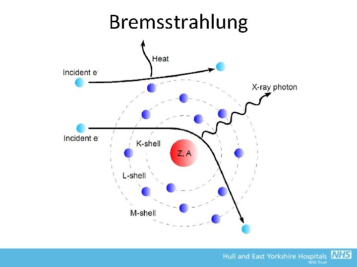 Bremsstrahlung 