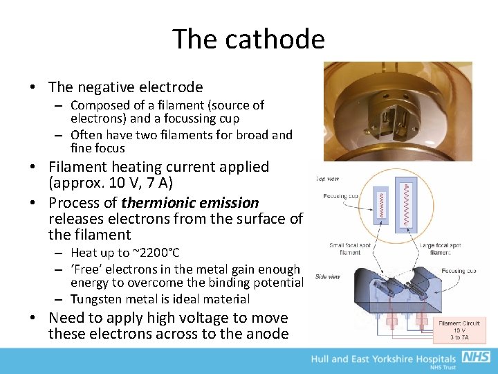 The cathode • The negative electrode – Composed of a filament (source of electrons)