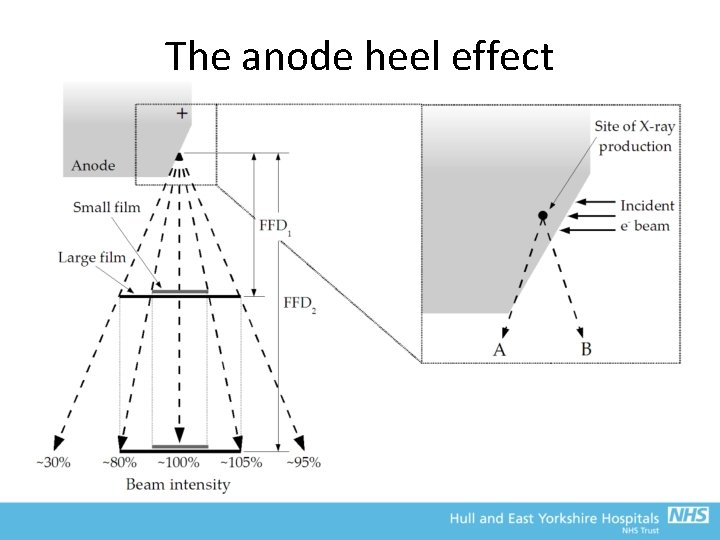 The anode heel effect 