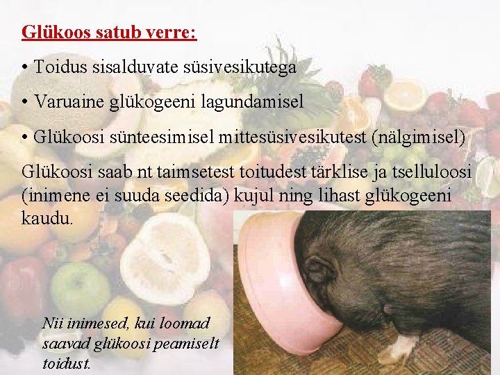 Glükoos satub verre: • Toidus sisalduvate süsivesikutega • Varuaine glükogeeni lagundamisel • Glükoosi sünteesimisel