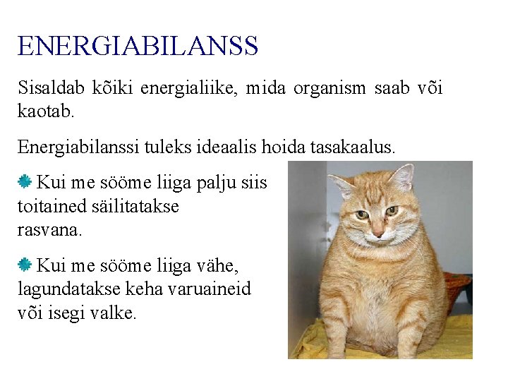 ENERGIABILANSS Sisaldab kõiki energialiike, mida organism saab või kaotab. Energiabilanssi tuleks ideaalis hoida tasakaalus.