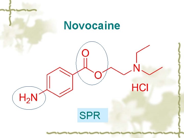 Novocaine SPR 