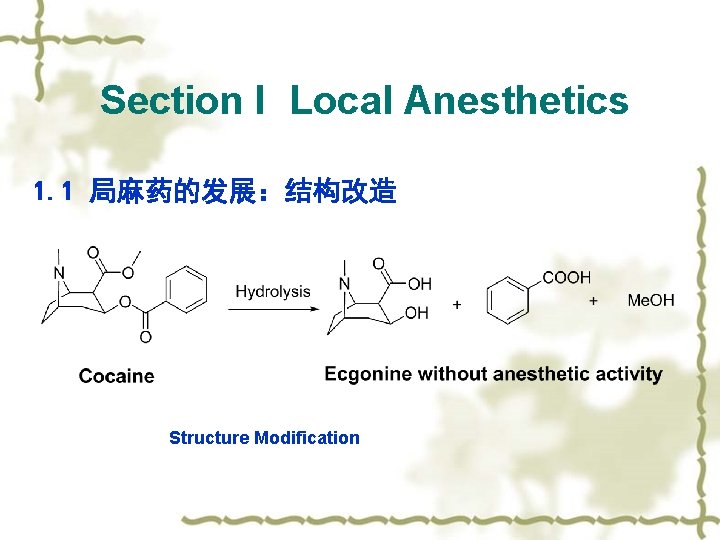 Section I Local Anesthetics 1. 1 局麻药的发展：结构改造 Structure Modification 