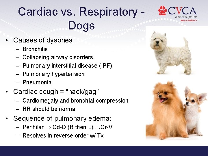 Cardiac vs. Respiratory Dogs • Causes of dyspnea – – – Bronchitis Collapsing airway Cardiac vs. Respiratory Dogs • Causes of dyspnea – – – Bronchitis Collapsing airway