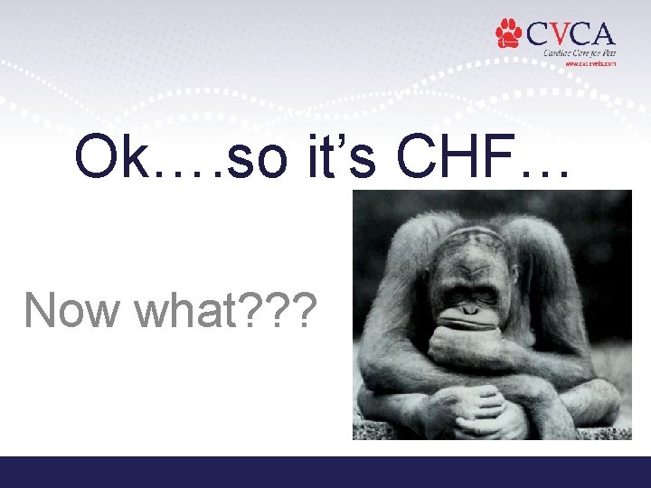 Ok…. so it’s CHF… Now what? ? ? Ok…. so it’s CHF… Now what? ? ?