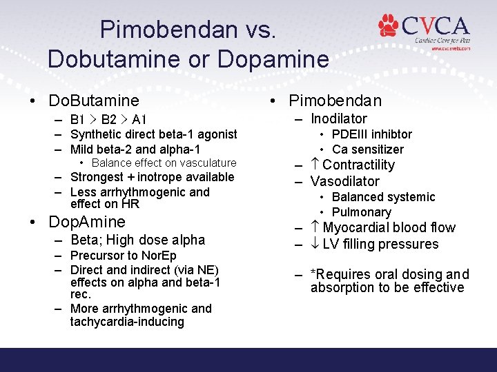 Pimobendan vs. Dobutamine or Dopamine • Do. Butamine – B 1 > B 2