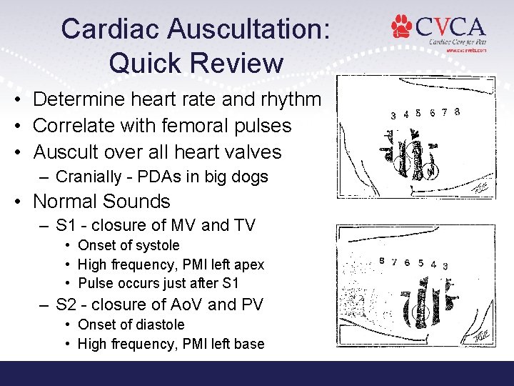 Cardiac Auscultation: Quick Review • Determine heart rate and rhythm • Correlate with femoral Cardiac Auscultation: Quick Review • Determine heart rate and rhythm • Correlate with femoral