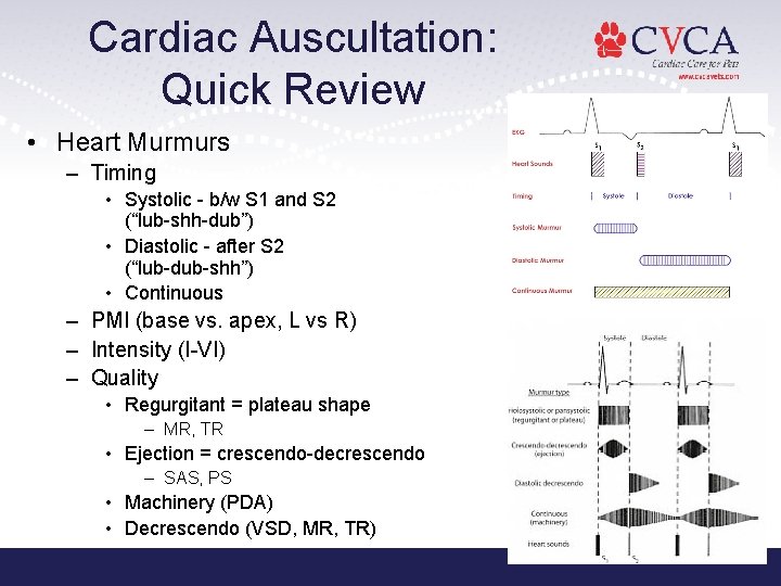 Cardiac Auscultation: Quick Review • Heart Murmurs – Timing • Systolic - b/w S Cardiac Auscultation: Quick Review • Heart Murmurs – Timing • Systolic - b/w S