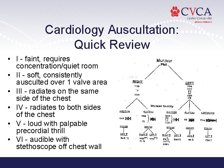 Cardiology Auscultation: Quick Review • I - faint, requires concentration/quiet room • II - Cardiology Auscultation: Quick Review • I - faint, requires concentration/quiet room • II -