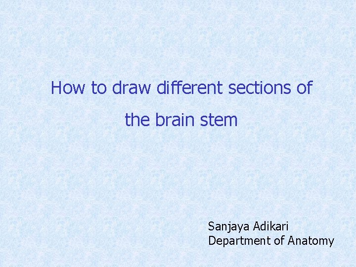 How to draw different sections of the brain stem Sanjaya Adikari Department of Anatomy