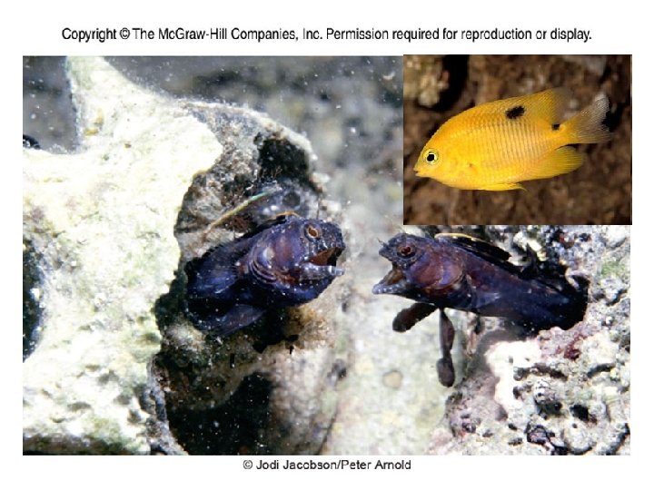 Figure 13_01 Figure 13_01