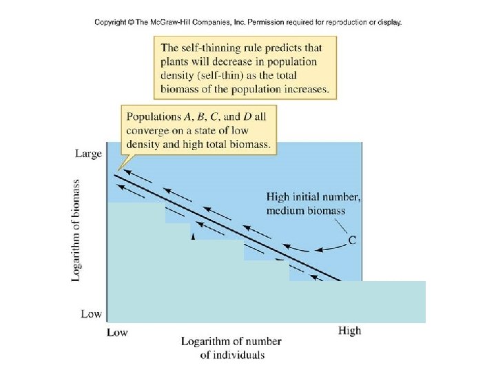 Figure 13_04 Figure 13_04
