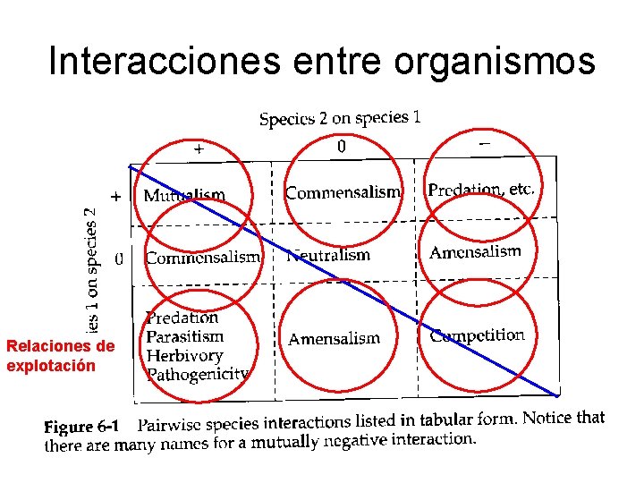 Interacciones entre organismos Relaciones de explotación Interacciones entre organismos Relaciones de explotación