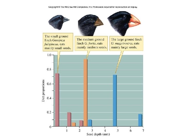Figure 13_08 Figure 13_08