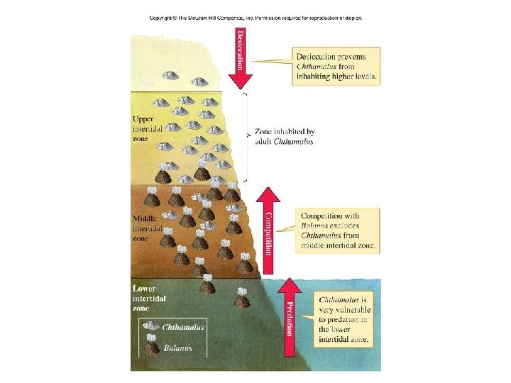 Figure 13_20 Figure 13_20
