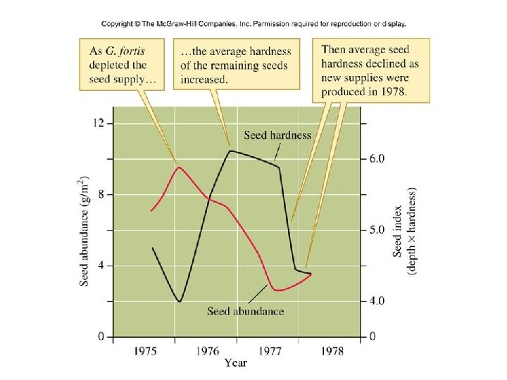 Figure 13_10 Figure 13_10