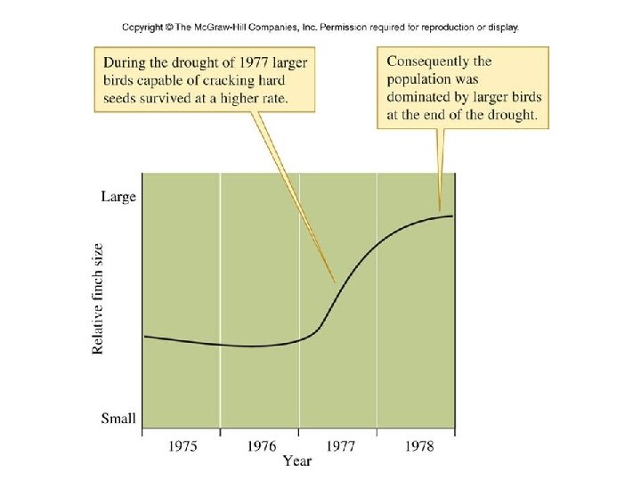 Figure 13_11 Figure 13_11