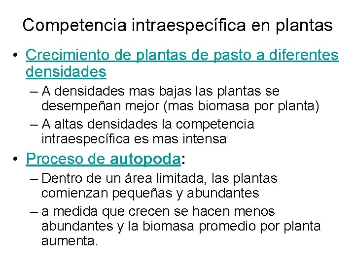 Competencia intraespecífica en plantas • Crecimiento de plantas de pasto a diferentes densidades – Competencia intraespecífica en plantas • Crecimiento de plantas de pasto a diferentes densidades –