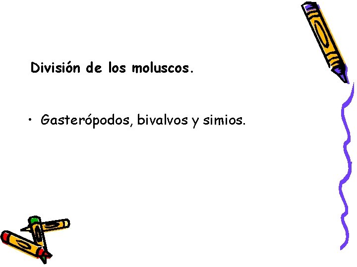 División de los moluscos. • Gasterópodos, bivalvos y simios. 