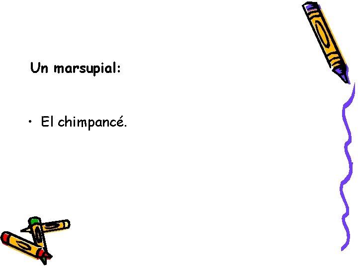 Un marsupial: • El chimpancé. 