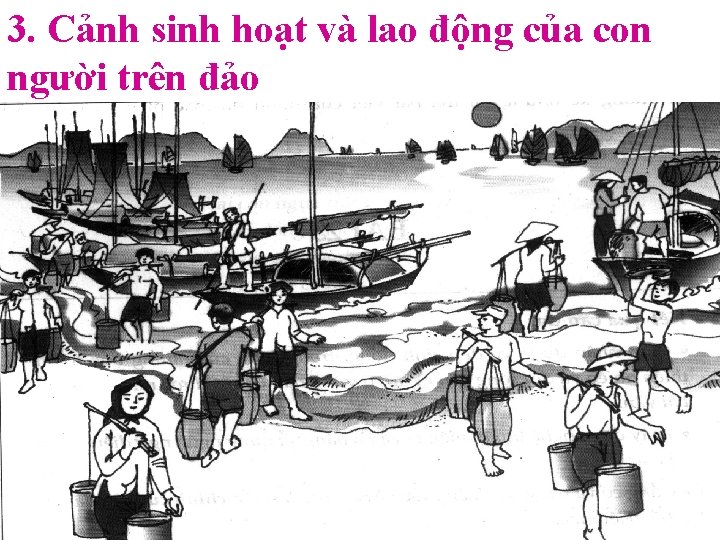 3. Cảnh sinh hoạt và lao động của con người trên đảo 