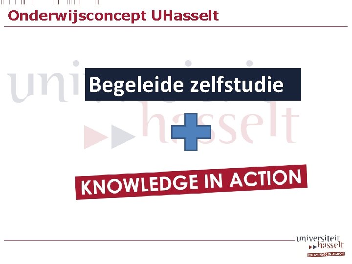 Onderwijsconcept UHasselt Begeleide zelfstudie 