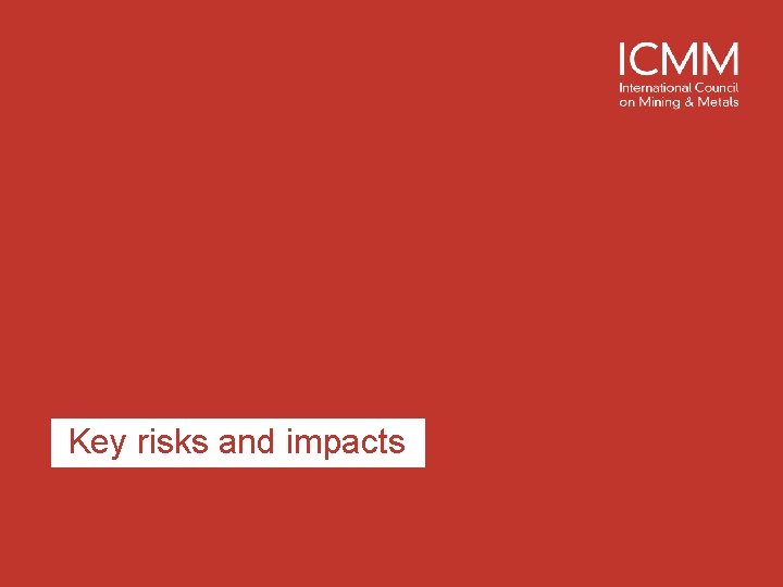 Key risks and impacts 