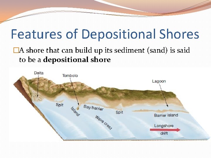 Features of Depositional Shores �A shore that can build up its sediment (sand) is