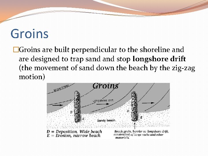 Groins �Groins are built perpendicular to the shoreline and are designed to trap sand