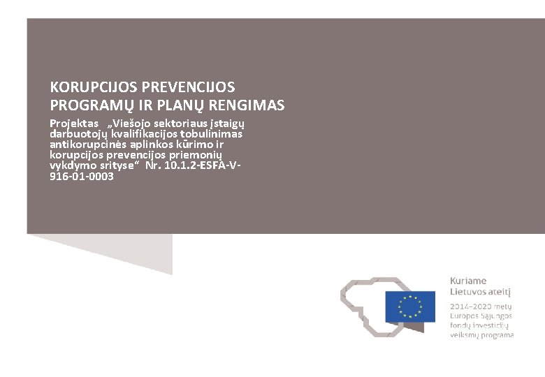 KORUPCIJOS PREVENCIJOS PROGRAMŲ IR PLANŲ RENGIMAS Projektas „Viešojo sektoriaus įstaigų darbuotojų kvalifikacijos tobulinimas antikorupcinės