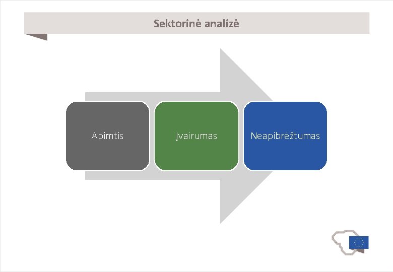 Sektorinė analizė Apimtis Įvairumas Neapibrėžtumas 
