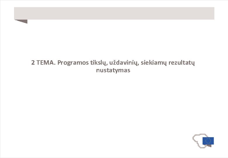 2 TEMA. Programos tikslų, uždavinių, siekiamų rezultatų nustatymas 