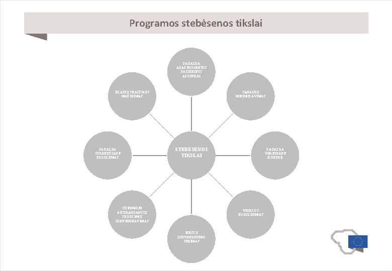 Programos stebėsenos tikslai PAGALBA ADAPTUOJANTIS PASIKEITUS APLINKAI KLAIDŲ SKAIČIAUS MAŽINIMAS PAGALBA SPRENDŽIANT PROBLEMAS SĄNAUDŲ