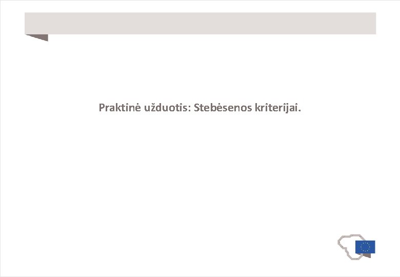 Praktinė užduotis: Stebėsenos kriterijai. 