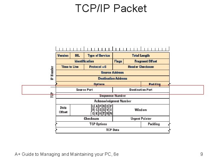 TCP/IP Packet A+ Guide to Managing and Maintaining your PC, 6 e 9 