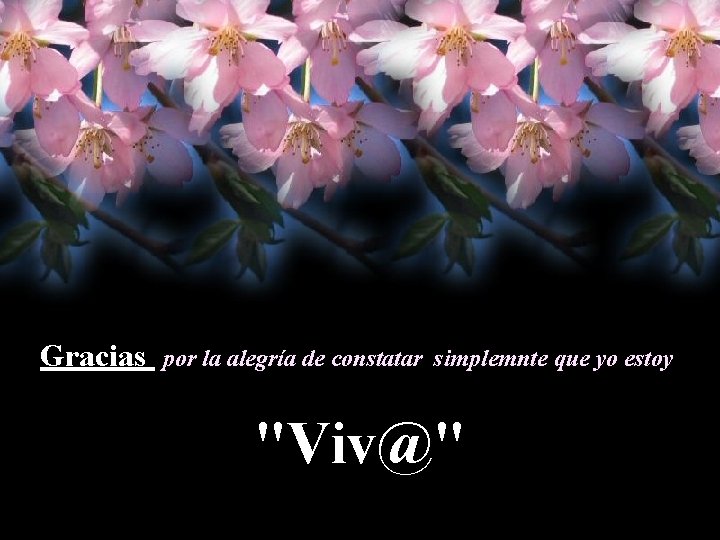 Gracias por la alegría de constatar simplemnte que yo estoy "Viv@" 