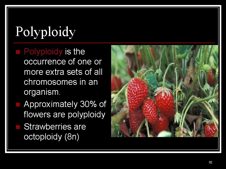 Polyploidy n n n Polyploidy is the occurrence of one or more extra sets