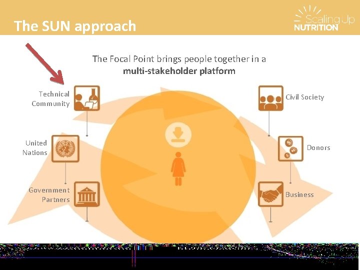 The SUN approach The Focal Point brings people together in a multi-stakeholder platform Technical