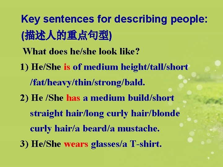  Key sentences for describing people: (描述人的重点句型) What does he/she look like? 1) He/She