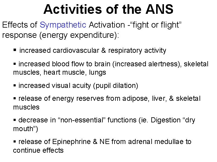 Activities of the ANS Effects of Sympathetic Activation -“fight or flight” response (energy expenditure):
