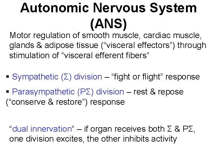 Autonomic Nervous System (ANS) Motor regulation of smooth muscle, cardiac muscle, glands & adipose