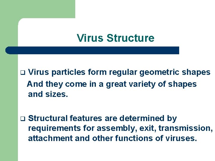 Virus Structure q Virus particles form regular geometric shapes And they come in a