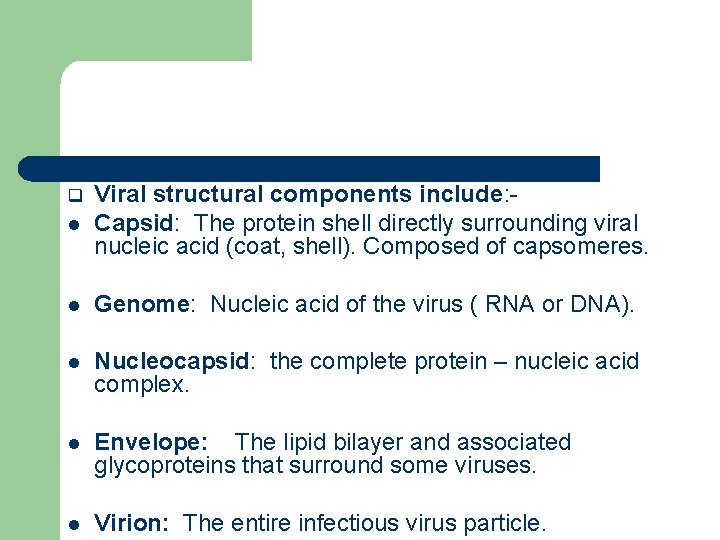 l Viral structural components include: Capsid: The protein shell directly surrounding viral nucleic acid