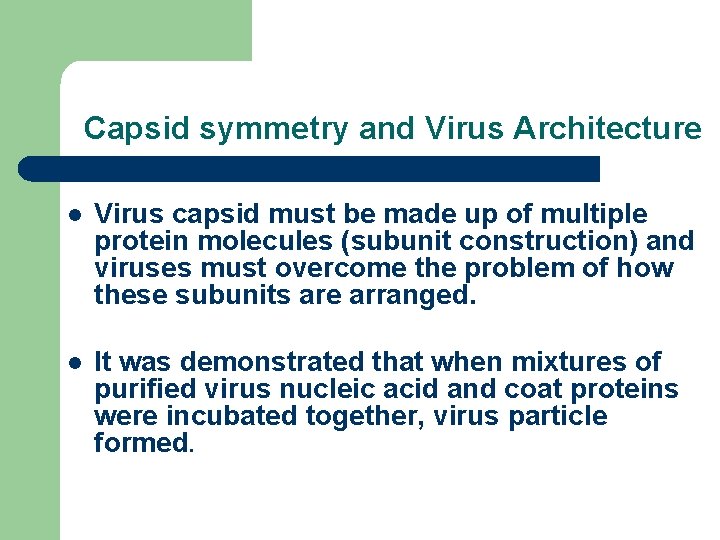 Capsid symmetry and Virus Architecture l Virus capsid must be made up of multiple