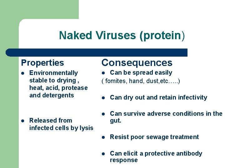 Naked Viruses (protein) Properties l l Environmentally stable to drying , heat, acid, protease