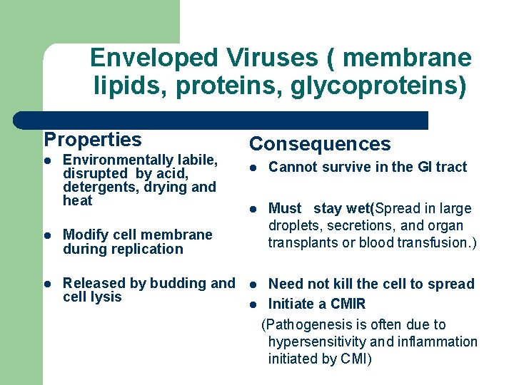 Enveloped Viruses ( membrane lipids, proteins, glycoproteins) Properties l Environmentally labile, disrupted by acid,