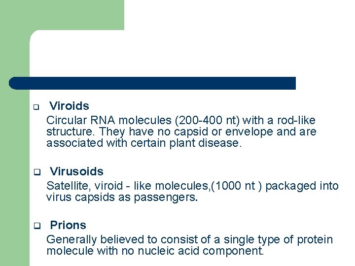 q Viroids Circular RNA molecules (200 -400 nt) with a rod-like structure. They have