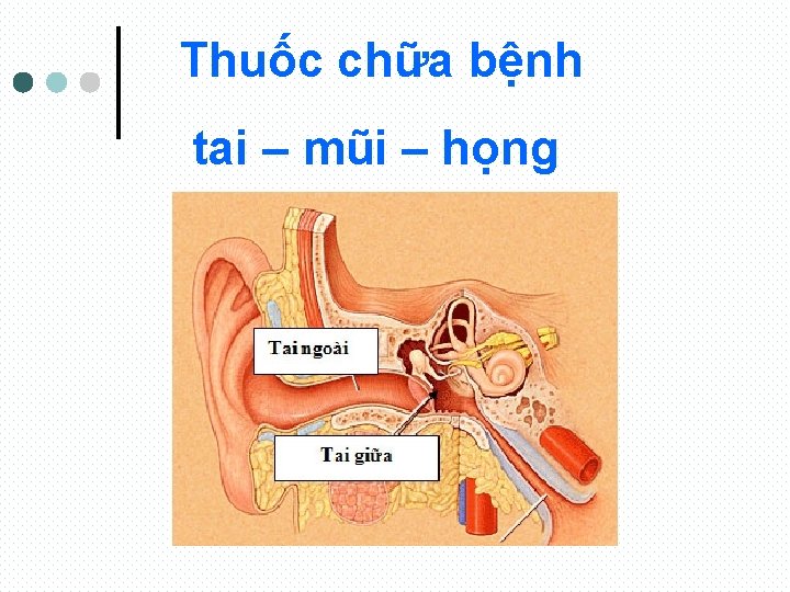 Thuốc chữa bệnh tai – mũi – họng 
